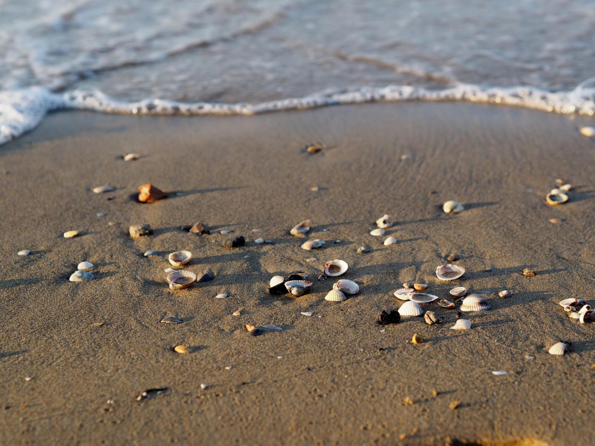 Beautiful Apartment Close To Bibione Beach - Beahost Kültér fotó